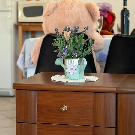 In - Insel Rab 43103 Apartment