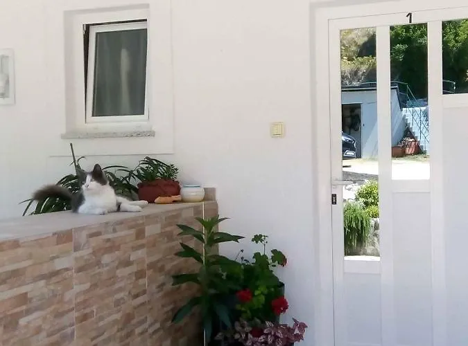 In - Insel Rab 43103